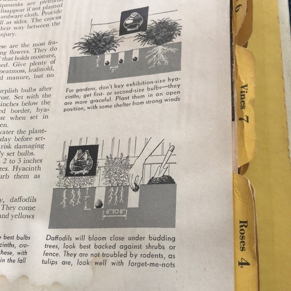 Better Homes & Gardens Garden Book Spiral Bound 1954 Hardcover Tabs Vintage - Picture 8 of 8